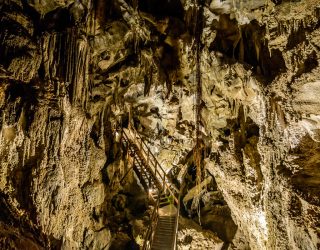 Ngarua Caves - Takaka Hill