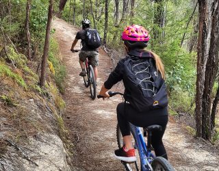 Kaiteriteri Mountain Bike Park