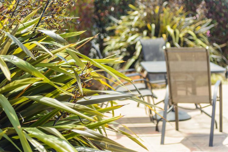 home-garden-poolside-9369